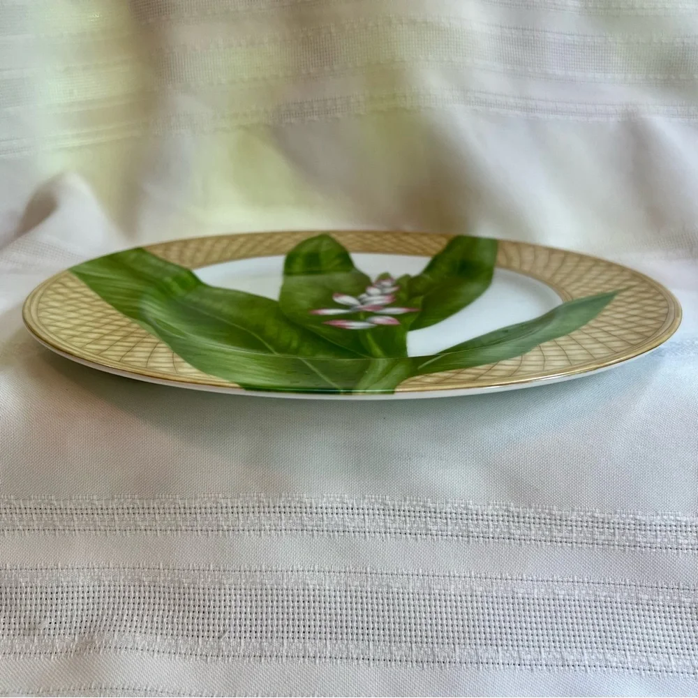 TWO Dinner Plates 222 FIFTH‎ Rain Forest Porcelain Discontinued EUC